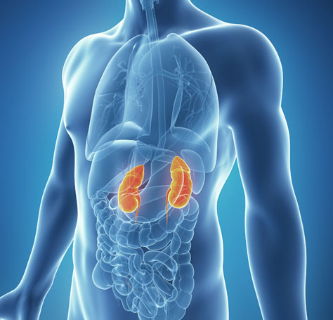 kidney classroom side effects of chronic kidney disease