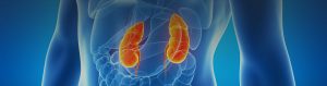 Learn how to recognize chronic kidney disease symptoms